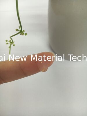 รองพื้นซิลิโคนป้องกันใบหน้าเมคอัพเบสเจลไร้สีพร้อมโกลด์